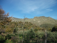 nte Mojo-30122011 012